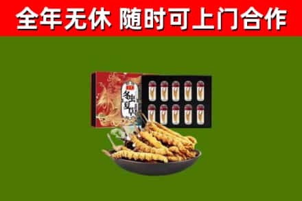 光明区烟酒回收冬虫夏草礼盒.jpg